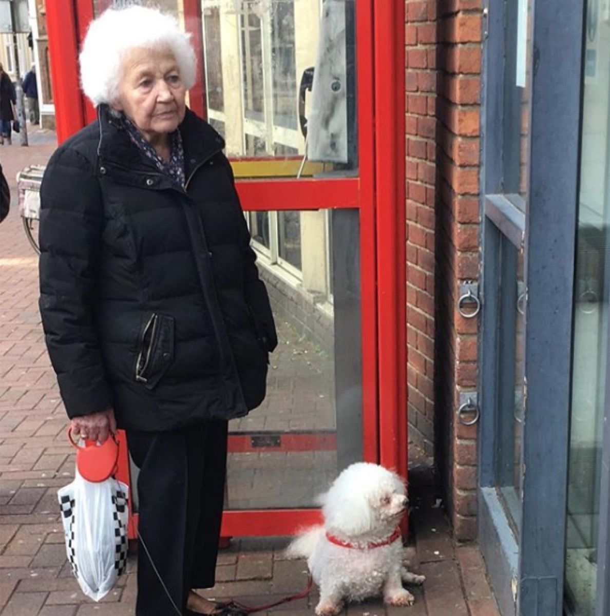 Anciana con cabello blanco rizado coincide con un perro mullido, un perro y un dueño gemelos