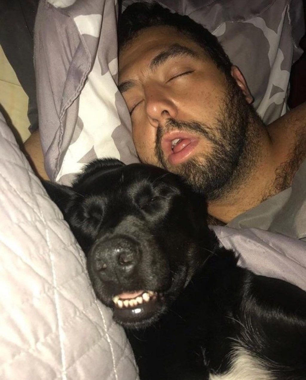 magavad mustad labori ja omaniku koerad, kes näevad välja nagu nende omanikud