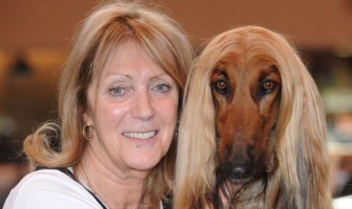 Mujer rubia con pelo lacio coincide con el pelo de perro marrón, perro y gemelos propietarios