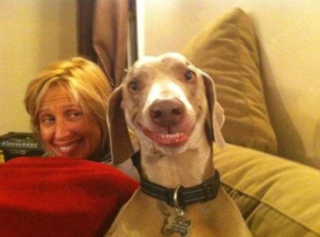 naine ja koer naeratavad koerad, kes näevad välja nagu nende omanikud