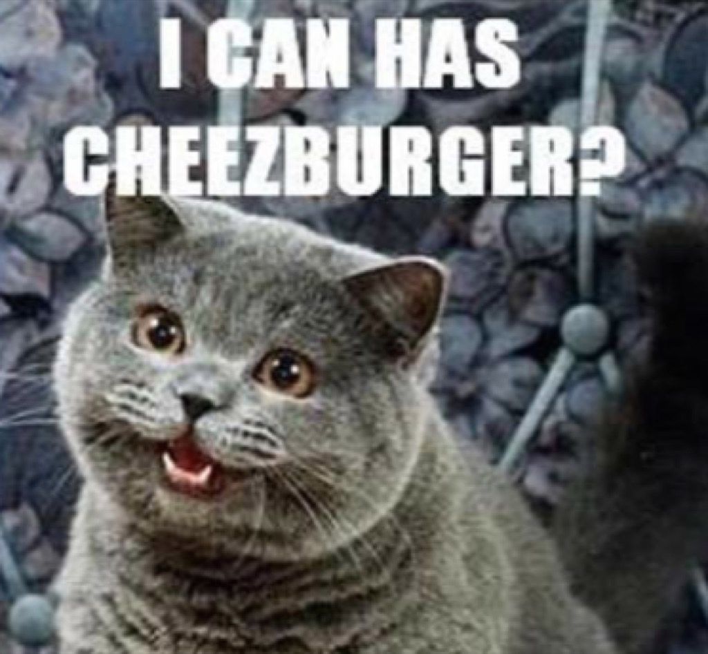 es varu ir cheezburger