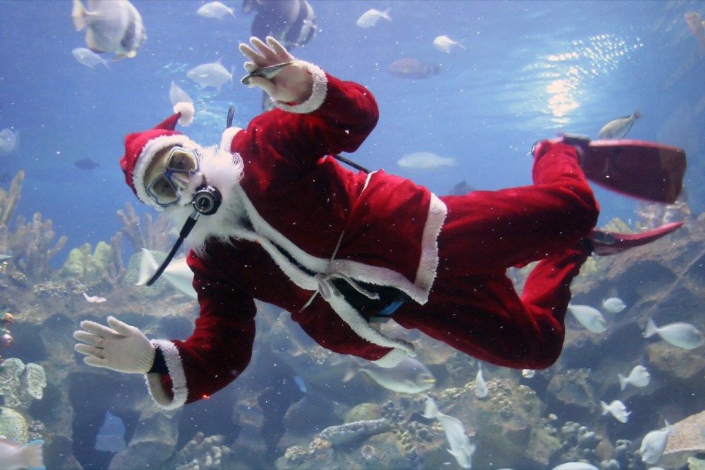 Човек в костюм на Дядо Коледа, гмуркане с риба