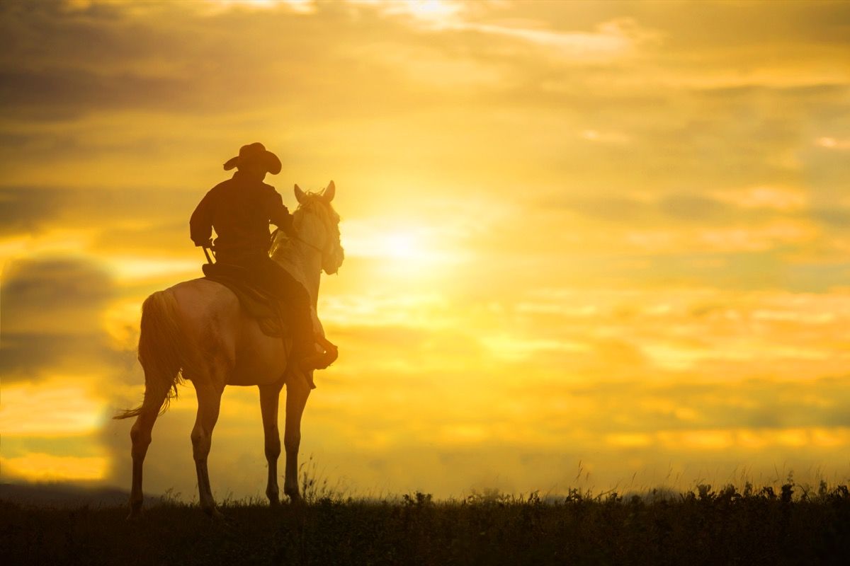 Kaubojus jodinėjimas arkliu saulėlydžio metu
