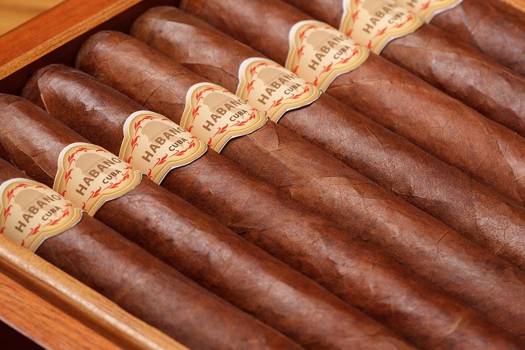 Cuban cigars, higit sa 40