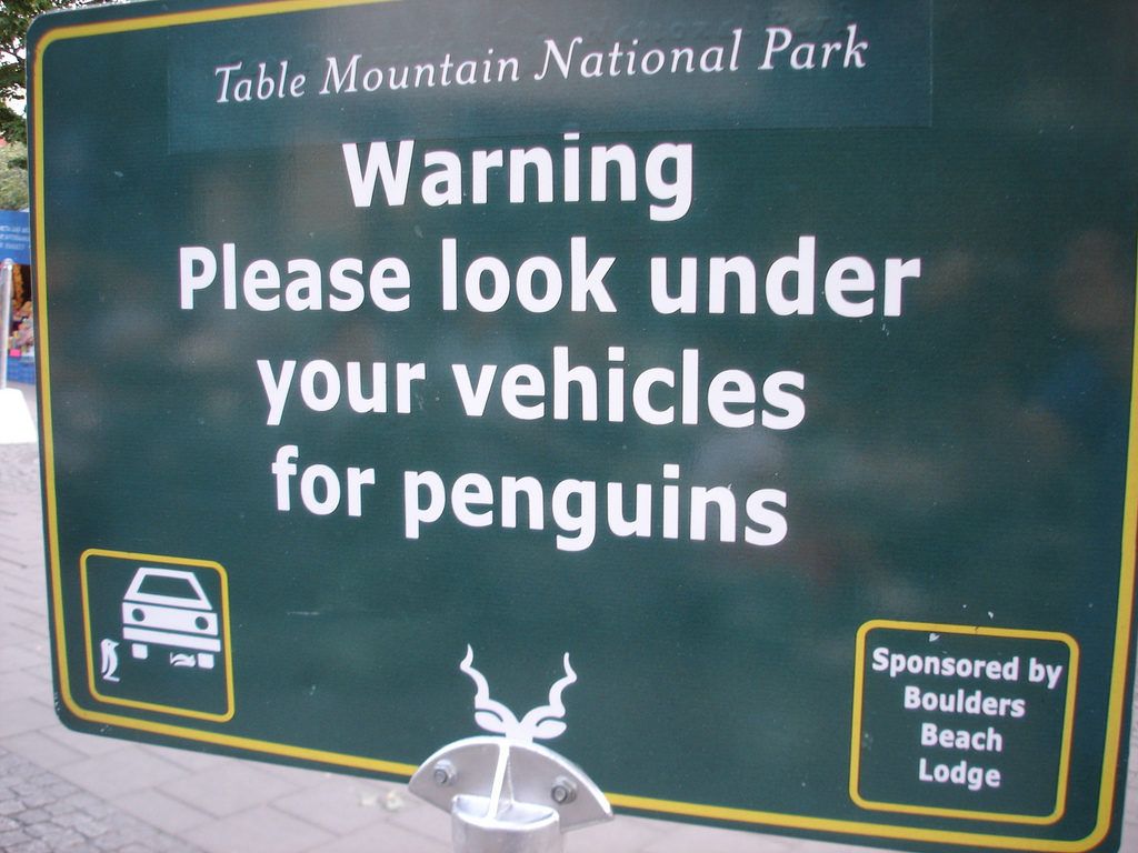 Ieškokite „Penguins“ įspėjamųjų kelio ženklų