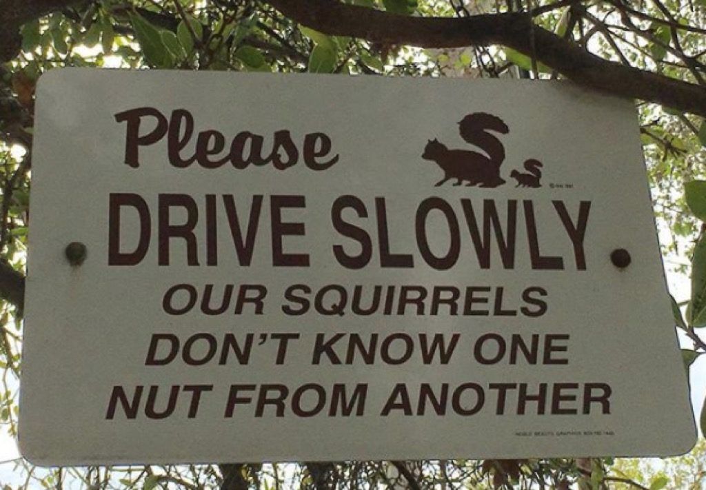 Oravien tien varoitusmerkit