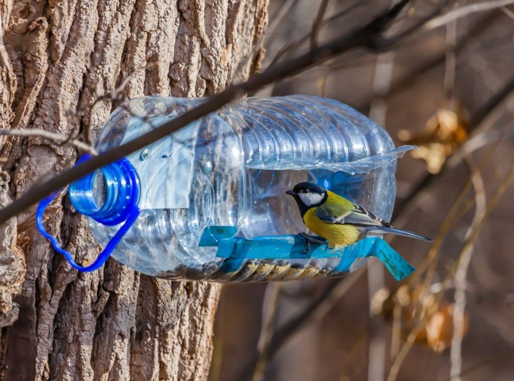 पुराने प्लास्टिक की पानी की बोतलों के लिए 20 अद्भुत दूसरा उपयोग