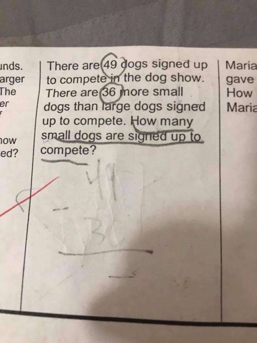 בעיה במתמטיקה לכלבים {שאלות מסובכות במתמטיקה}