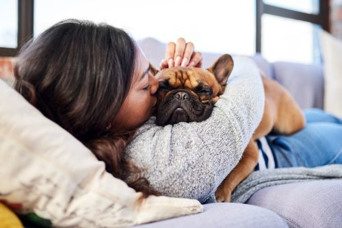   wanita muda berehat dengan anjingnya di atas sofa