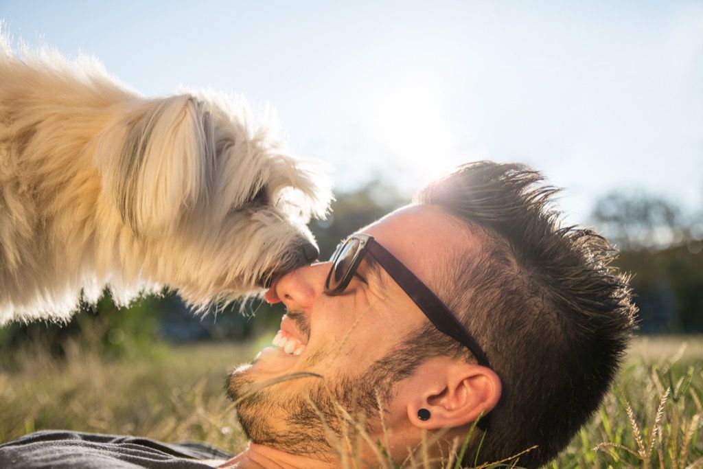 les nez des chiens sont beaucoup plus sensibles que les humains, des choses que vous ne saviez pas que les chiens pourraient faire