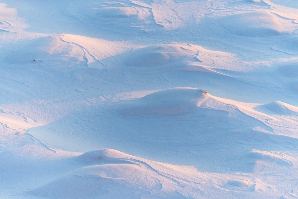 campos de nieve durante el día