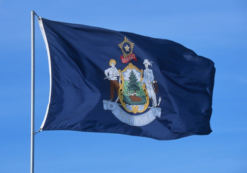 državna zastava Mainea, slučajne zabavne činjenice