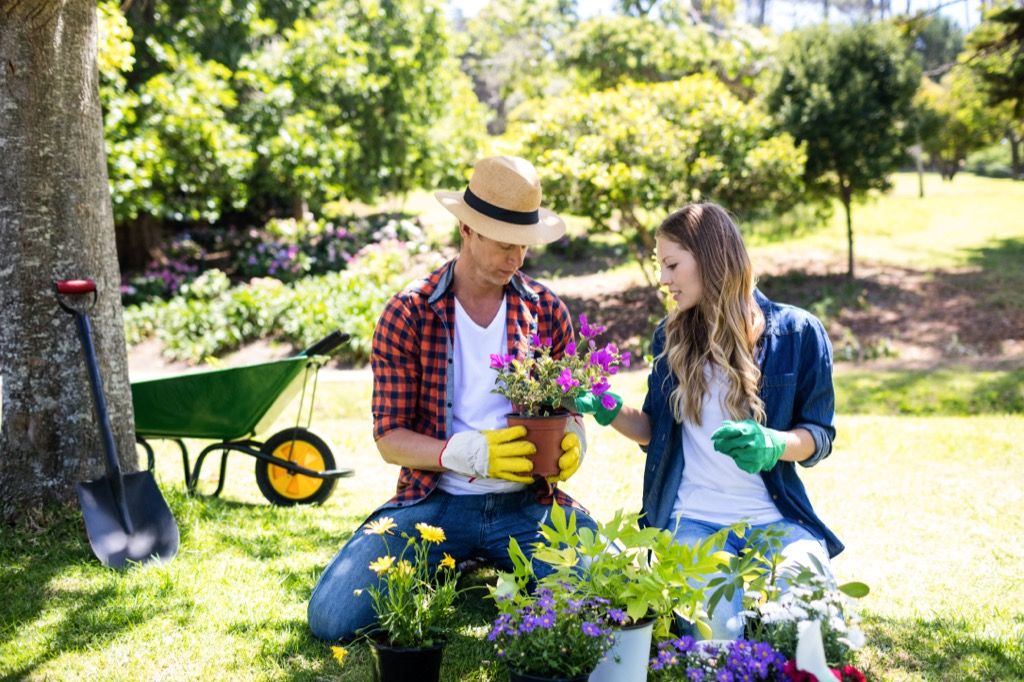 40 کے بعد دوستی کرنے کا طریقہ خواتین باہر باغبانی کرتی ہیں