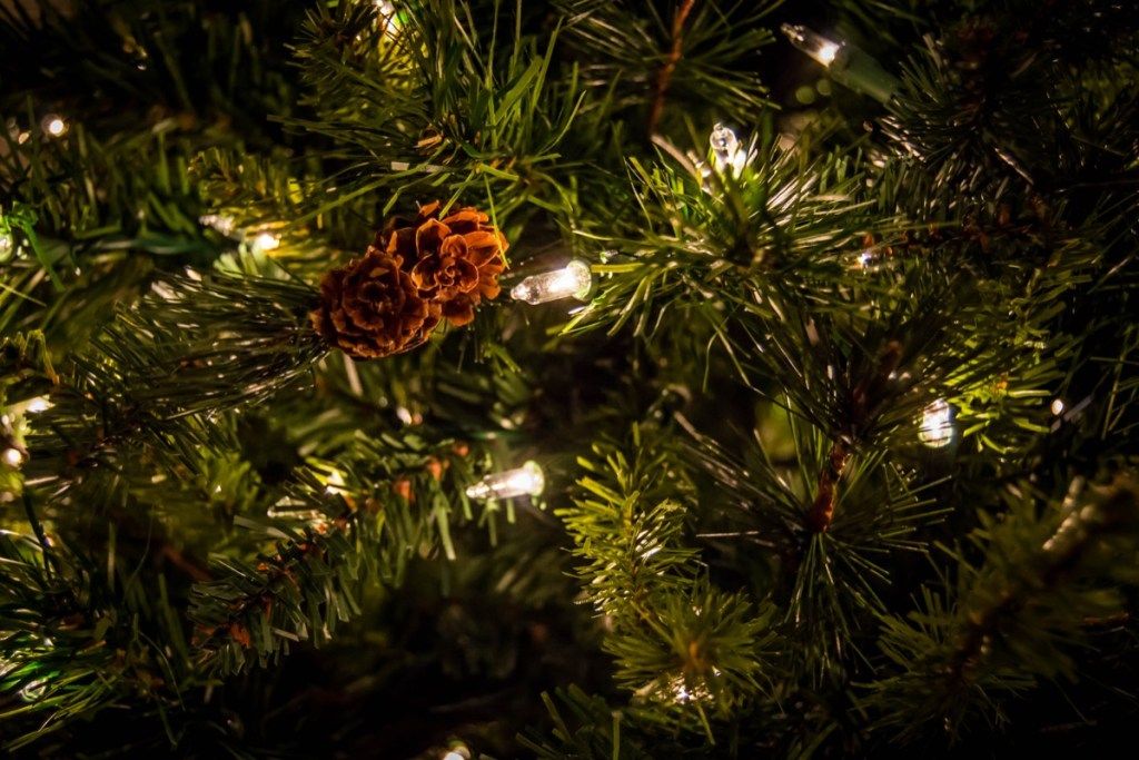 क्रिसमस के पेड़ पर एक पिनकॉन