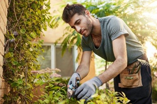 ung mann som trimmer planter i hagen sin