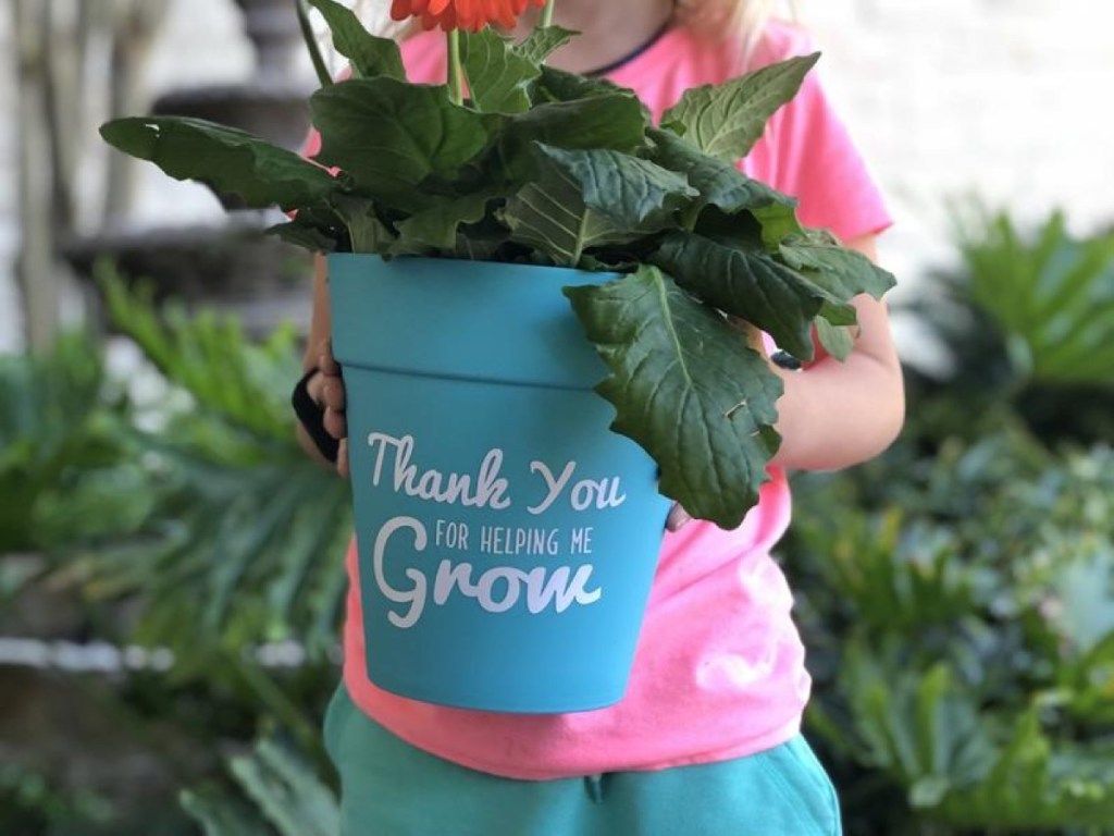 กระถางดอกไม้สำหรับครูของขวัญครู