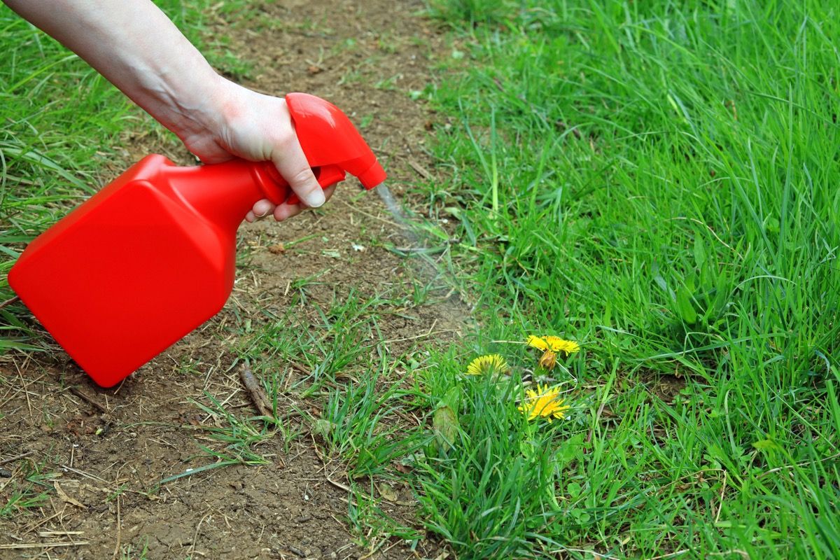 9 herbicidas naturales que realmente funcionan