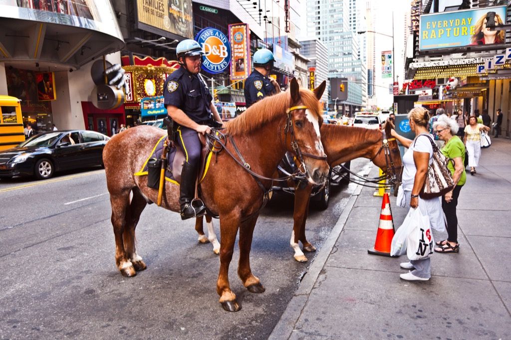 ニューヨークの馬の警官警官