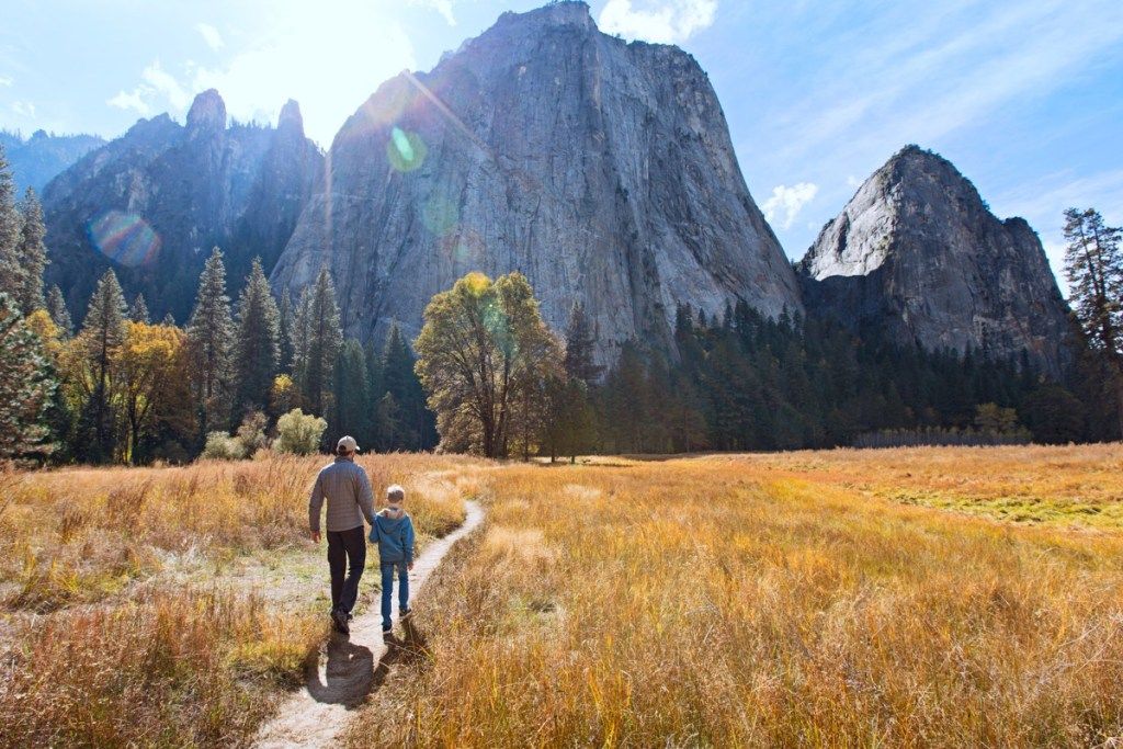 pogled od zadaj aktivne družine dveh otrok, očeta in sina, uživa v dolini in gorah v narodnem parku Yosemite, Kalifornija, koncept aktivnih družinskih počitnic (pogled od zadaj aktivne družine dveh, očeta in sina, uživa v dolini in gorah v Yosemite, zemlja dnevne dobrodelne ustanove