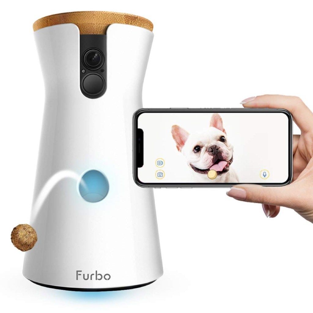 „furbo“ šuns kamera ir balta rankos laikanti „iPhone“