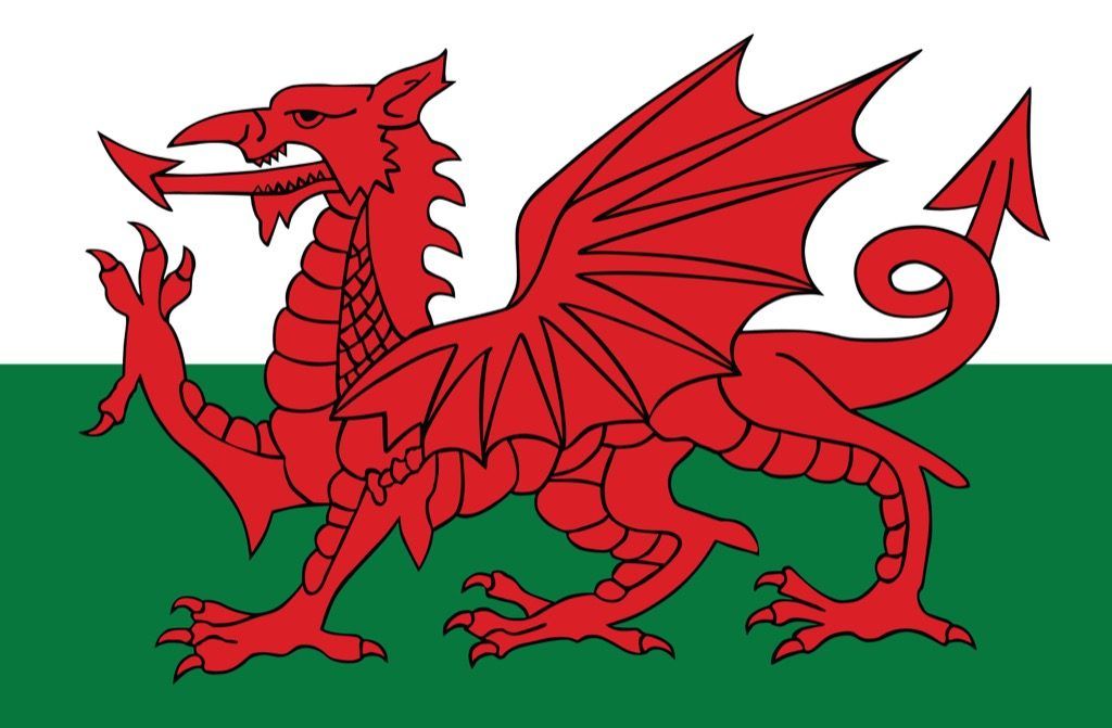 Walesin kymri lohikäärmeen lippu