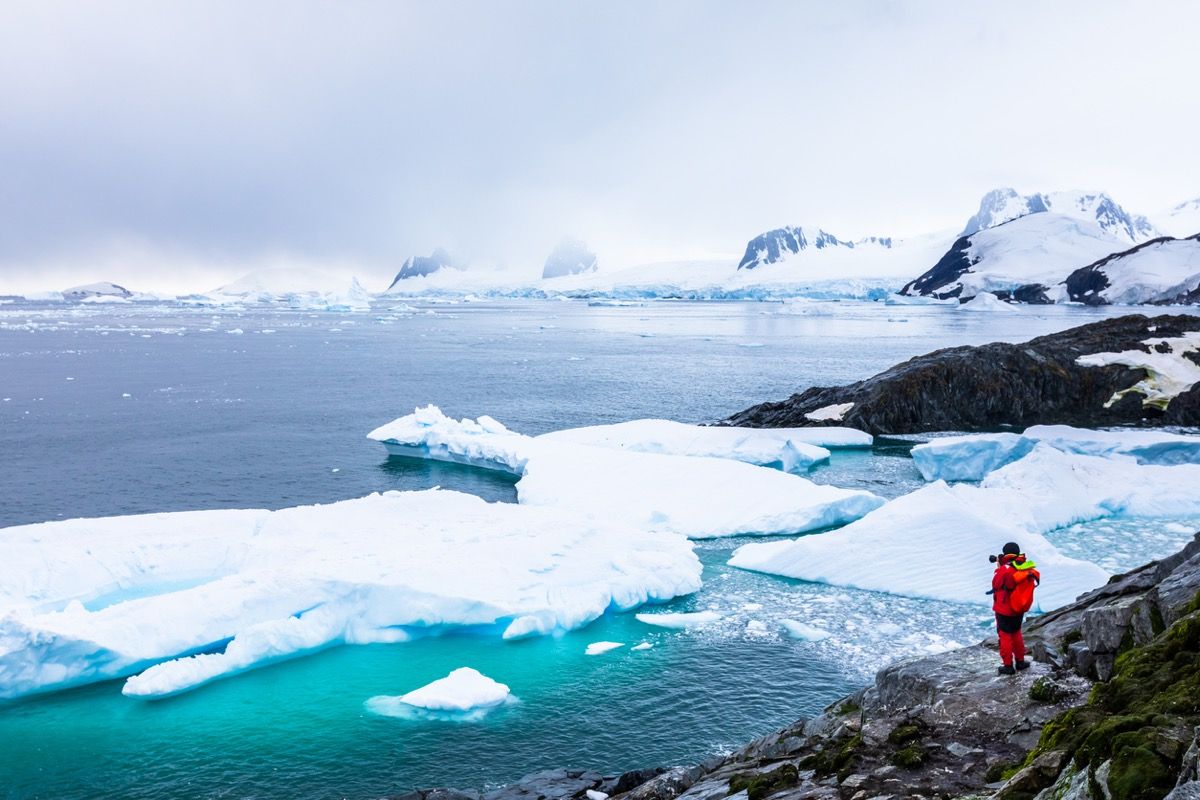 빙산, 눈, 산, 빙하가있는 남극의 놀라운 얼어 붙은 풍경 사진을 찍는 관광객, 얼음이있는 남극 반도의 아름다운 자연 (빙산, 눈, mountai가있는 남극의 놀라운 얼어 붙은 풍경 사진을 찍는 관광객