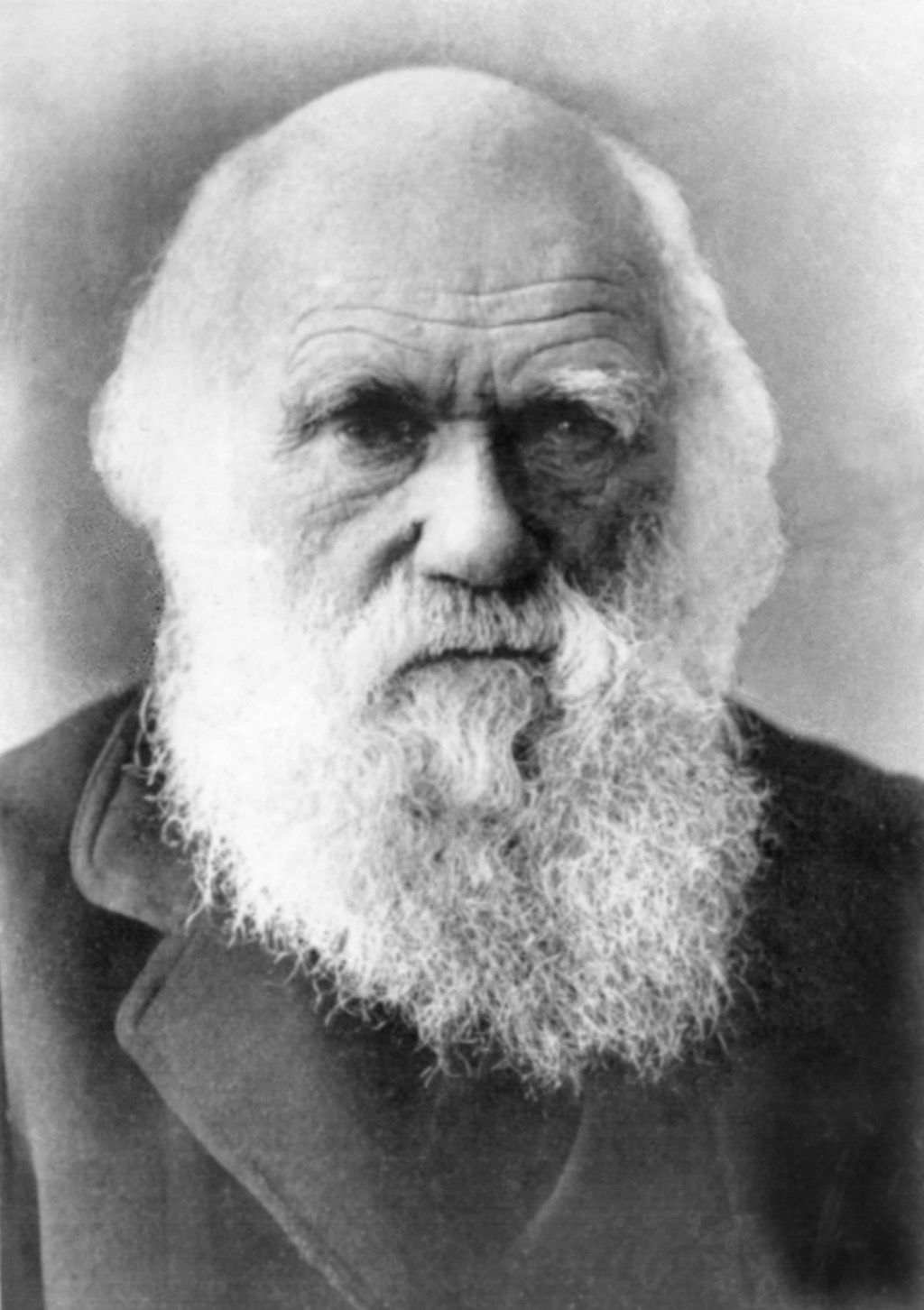 Charles Darwin menjadi terkenal selepas 40