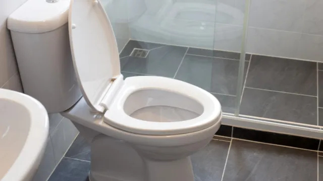 Kako odčepiti WC (bez klipa)