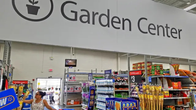 6 bedste ting at købe fra Walmart's Garden Center