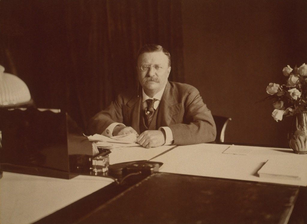 Presidentti Theodore Roosevelt