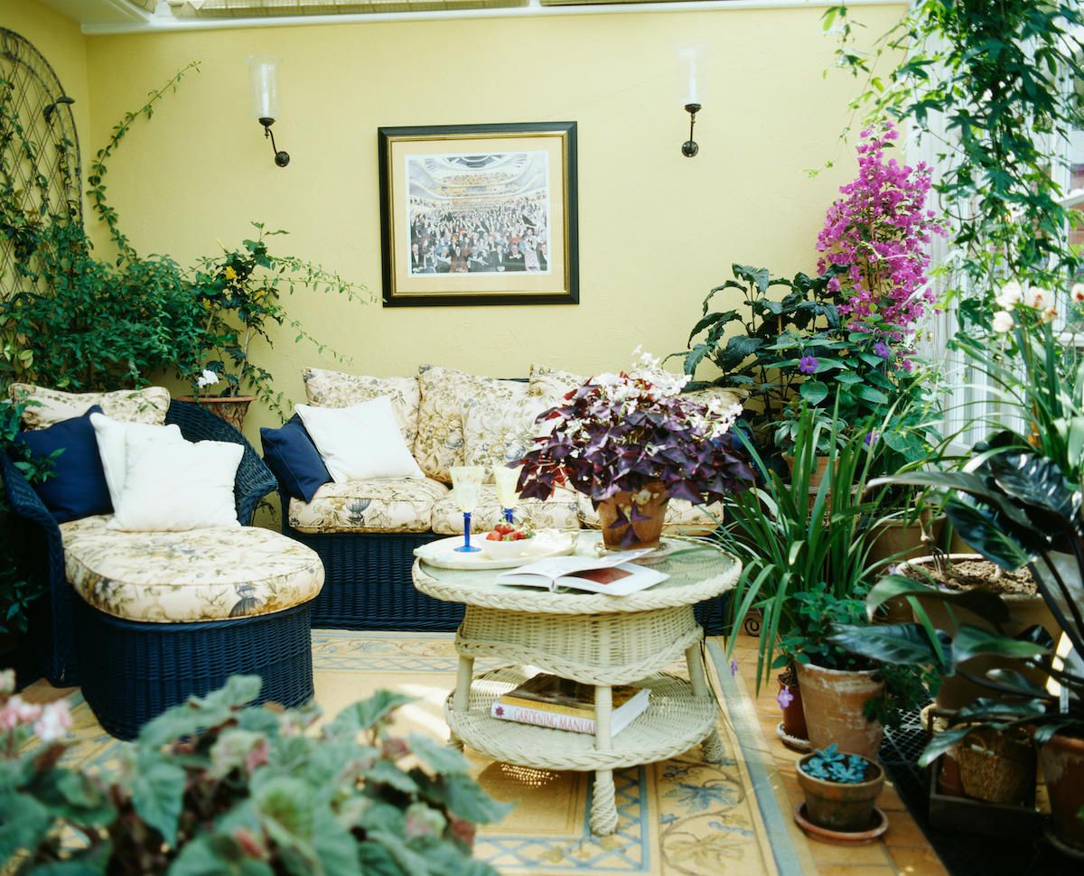Sodingi žali ir žydintys kambariniai augalai oranžerijos svetainėje su pintais baldais