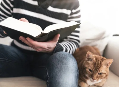   proprietarul citind o carte lângă pisica lui