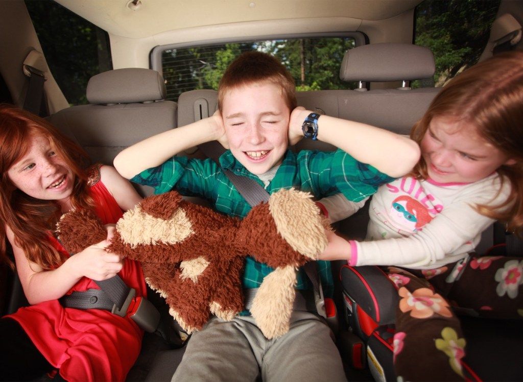 Дети дерутся на заднем сиденье машины