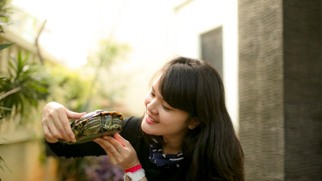   млада жена, държаща костенурка