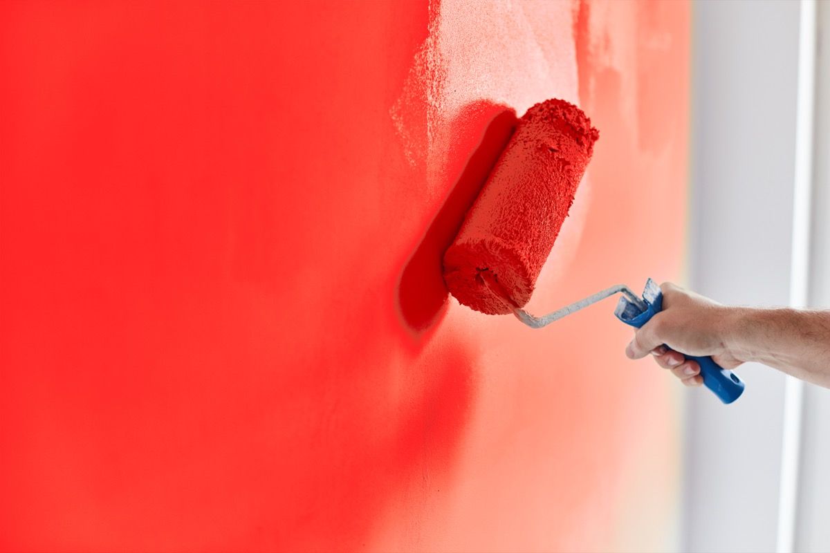 Vyrų rankomis dažoma siena dažų voleliu. Tapybos butas, atnaujinimas raudonos spalvos dažais.