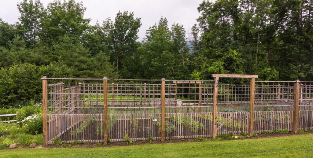 lesena ograja okoliškega vrta z zimzelenimi rastlinami v ozadju