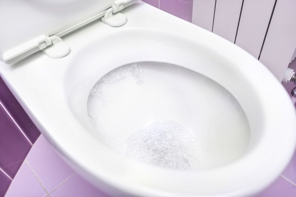 शौचालय का कटोरा, पुराने स्कूल की सफाई के टिप्स