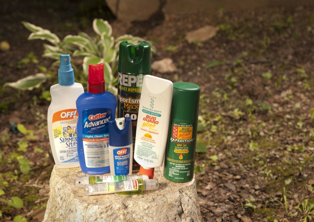 Phoenix, Arizona, United States - 21 juin 2011: une collection de sprays et lotions anti-insectes sont affichées sur une souche d