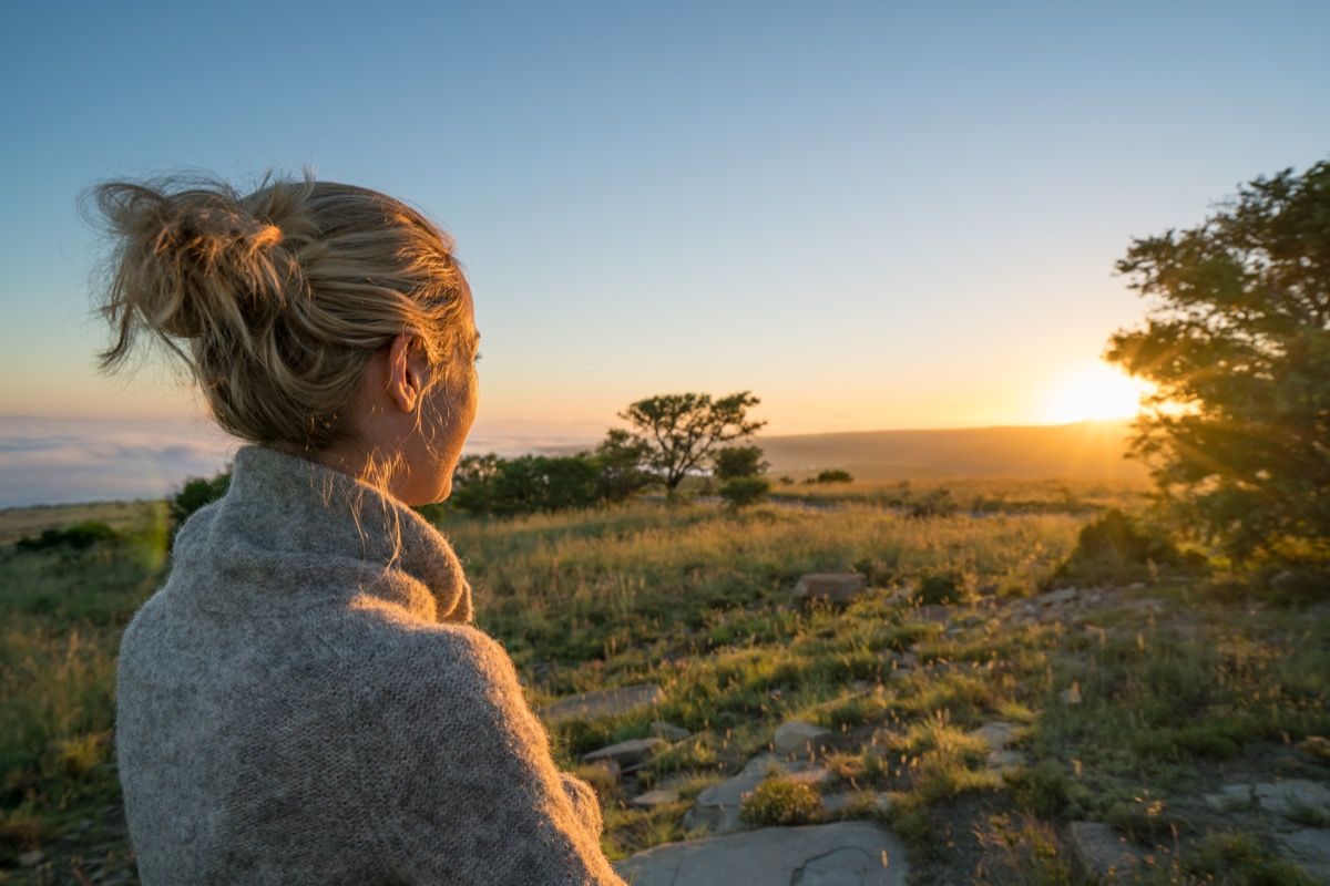 žena koja vani promatra zalazak sunca s drvećem i travom oko sebe