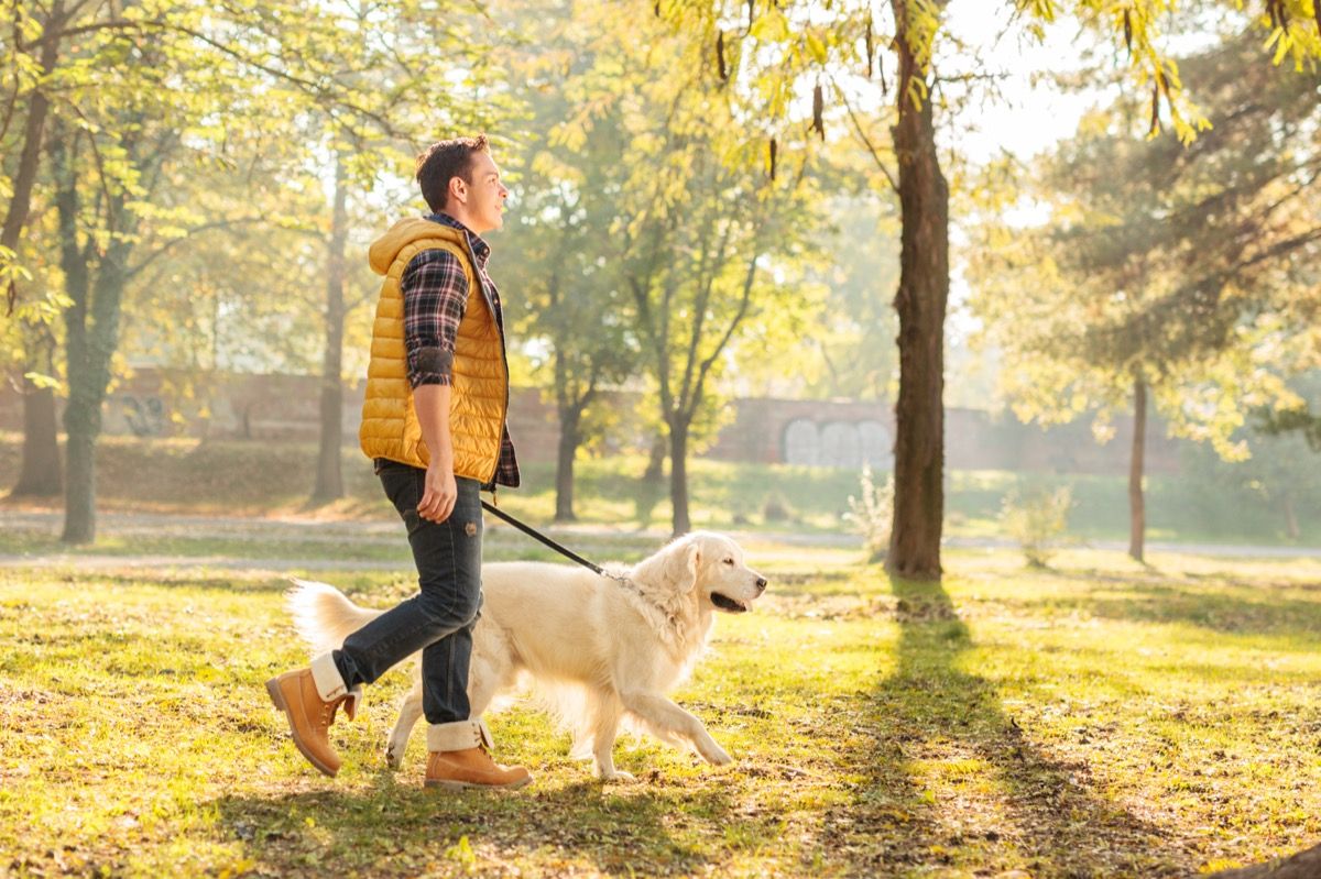 Hombre caminando por el parque con su perro