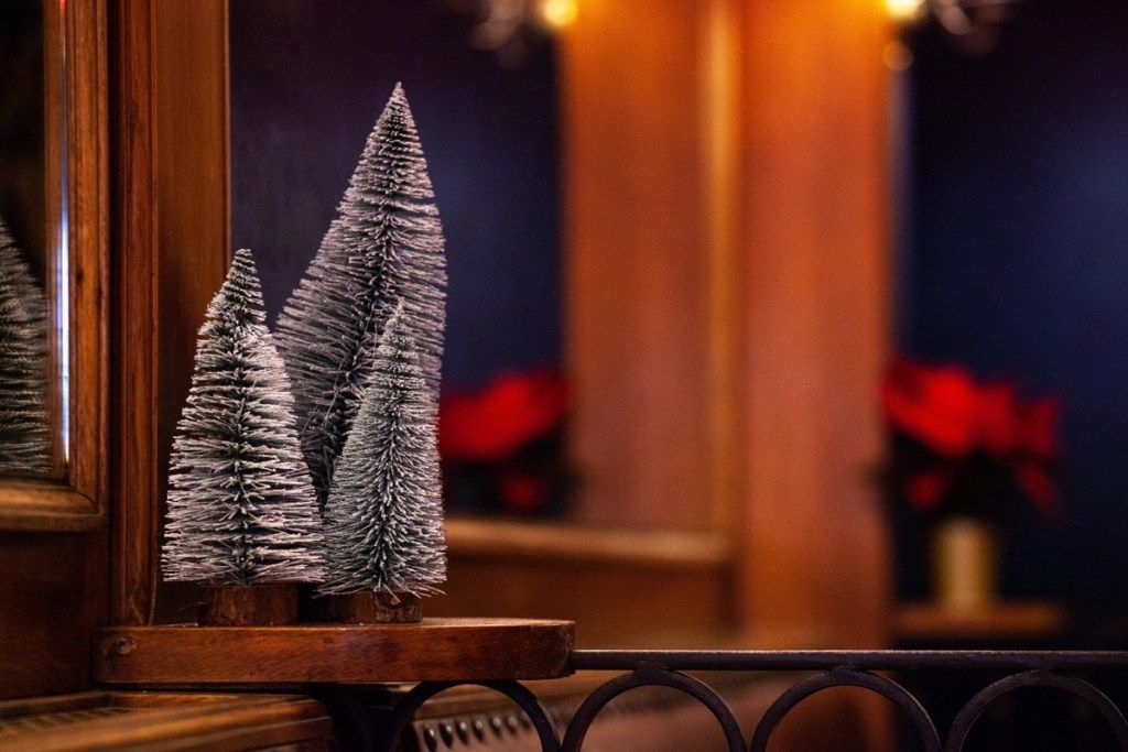 Árboles en bandada en miniatura en un restaurante