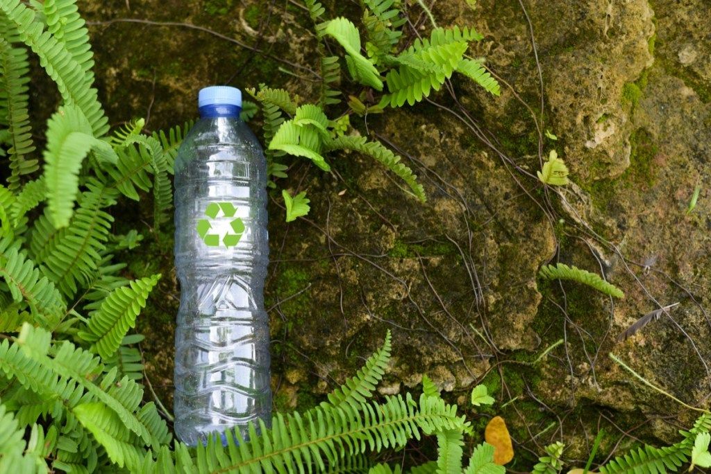 녹색 나무 배경으로 플라스틱 병을 들고 여자. 환경을 저장하기위한 재활용 개념