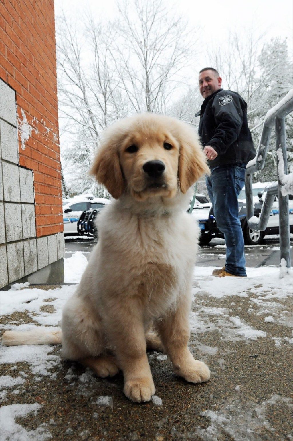 Ben Franklin terapihund bedårande polisdjur
