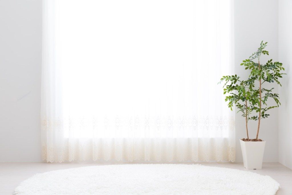 bijela dnevna soba s bijelim sagom i biljkom