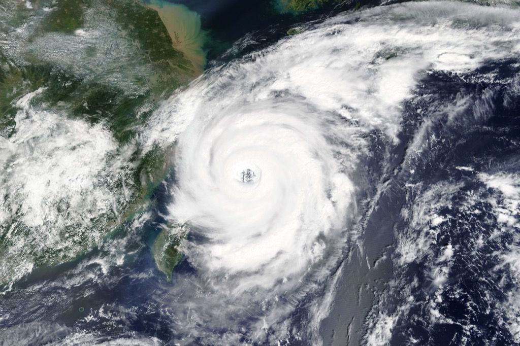 сумасшедшие факты о тайфуне