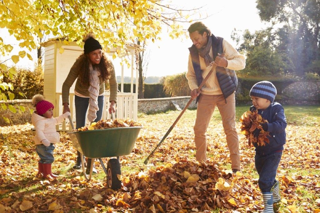 temnopolta mati, oče in dve deklici, ki na jesenski dan grapajo listje v zeleno samokolnico