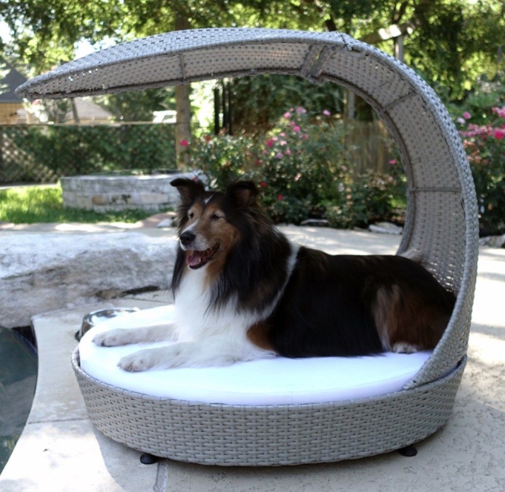 Chaise Lounger al aire libre Accesorios para mascotas de verano