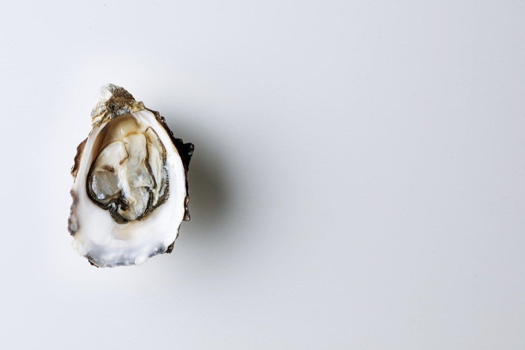 Shucked Oyster fantastische Fakten