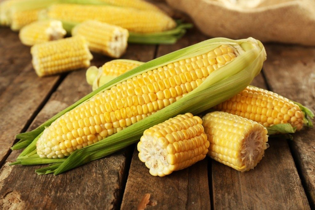 kłos kukurydzy, najzabawniejsze żarty