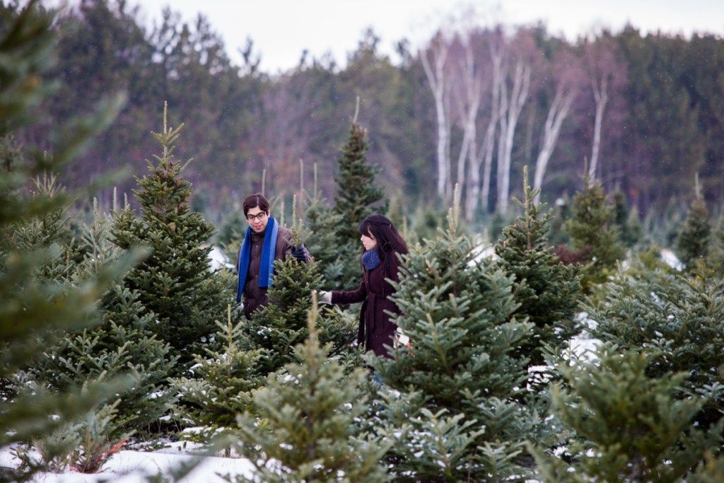 Paar auf Weihnachtsbaumfarm zusammen